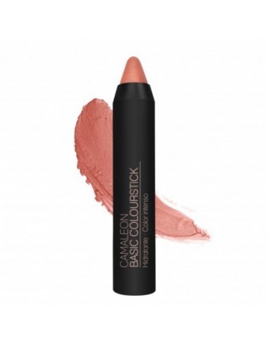 Camaleon Barra De Labios 1 Unidad Colourstick 5 Nude