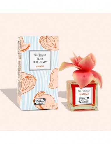 Natur Botanic Air Freshener Flor... Natur Botanic Air Freshener Flor...