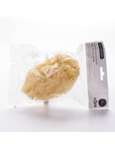 Esponja Baño Infantil...