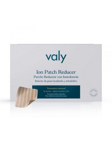 Valy Ion Patch Reducer Tratamiento Mensual 56 Parches